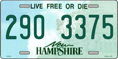 NH license plate 2903375