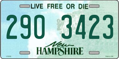 NH license plate 2903423