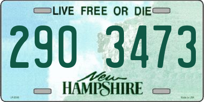 NH license plate 2903473