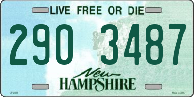 NH license plate 2903487