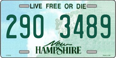 NH license plate 2903489