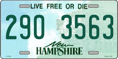 NH license plate 2903563