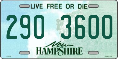 NH license plate 2903600