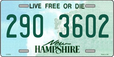 NH license plate 2903602