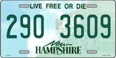 NH license plate 2903609