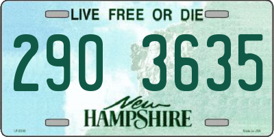 NH license plate 2903635