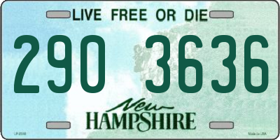 NH license plate 2903636