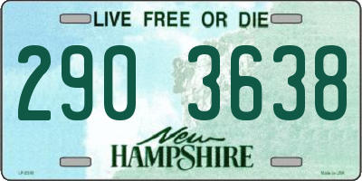 NH license plate 2903638