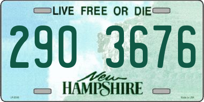 NH license plate 2903676