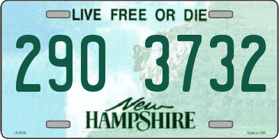 NH license plate 2903732