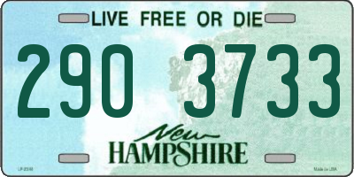 NH license plate 2903733