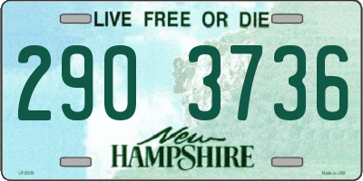 NH license plate 2903736