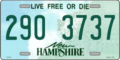 NH license plate 2903737