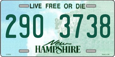 NH license plate 2903738