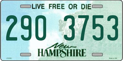 NH license plate 2903753