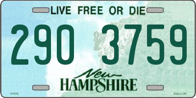 NH license plate 2903759