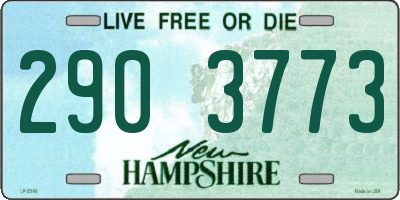 NH license plate 2903773