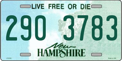 NH license plate 2903783