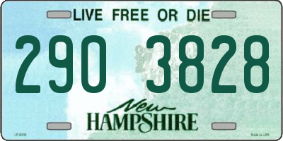 NH license plate 2903828