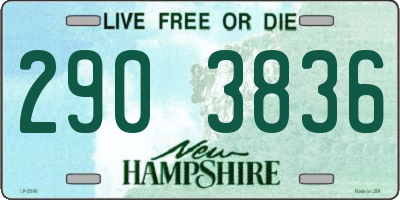 NH license plate 2903836