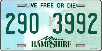 NH license plate 2903992