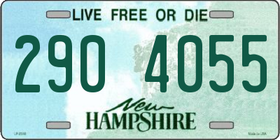 NH license plate 2904055