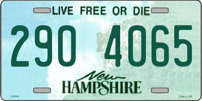 NH license plate 2904065