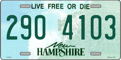 NH license plate 2904103