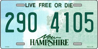 NH license plate 2904105