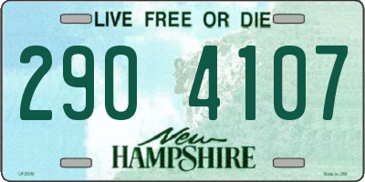 NH license plate 2904107