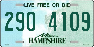 NH license plate 2904109