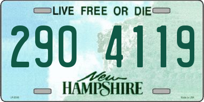 NH license plate 2904119