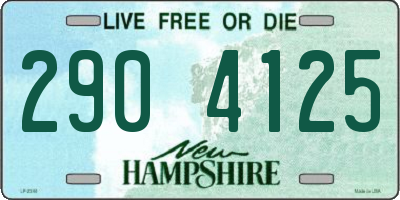 NH license plate 2904125