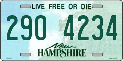 NH license plate 2904234