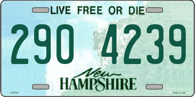 NH license plate 2904239