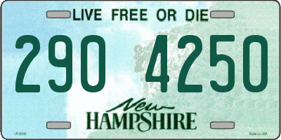 NH license plate 2904250