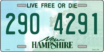 NH license plate 2904291