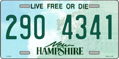NH license plate 2904341