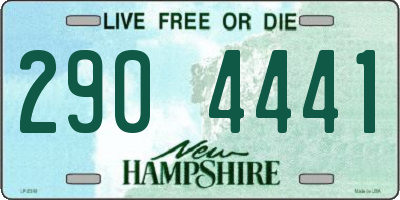 NH license plate 2904441