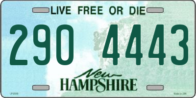 NH license plate 2904443