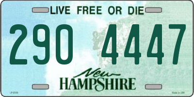NH license plate 2904447