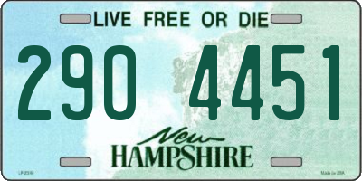 NH license plate 2904451