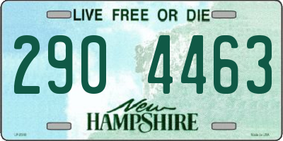NH license plate 2904463