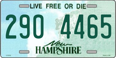 NH license plate 2904465