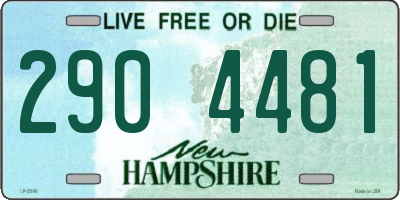 NH license plate 2904481