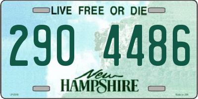 NH license plate 2904486