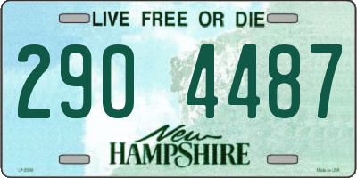 NH license plate 2904487