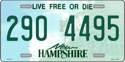 NH license plate 2904495
