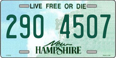 NH license plate 2904507