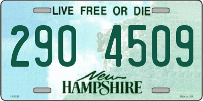 NH license plate 2904509